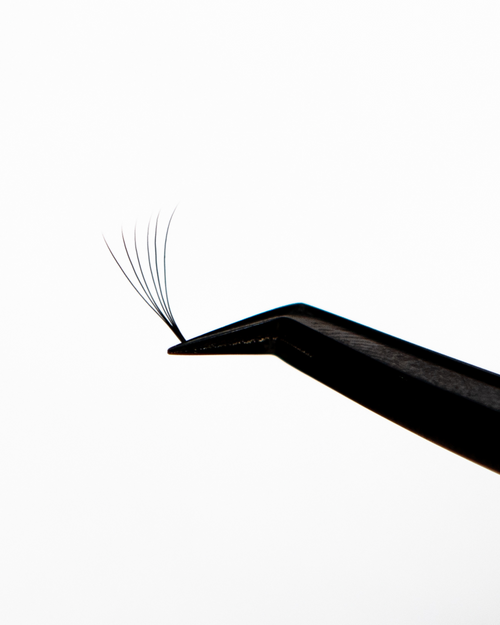 Tweezers holding a VOL-X Pre-Made fans for eyelash extensions.