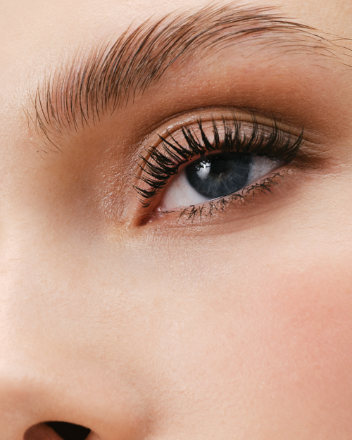 A model's lashes and brows after using the Lash and Brow Lamination Solutions.