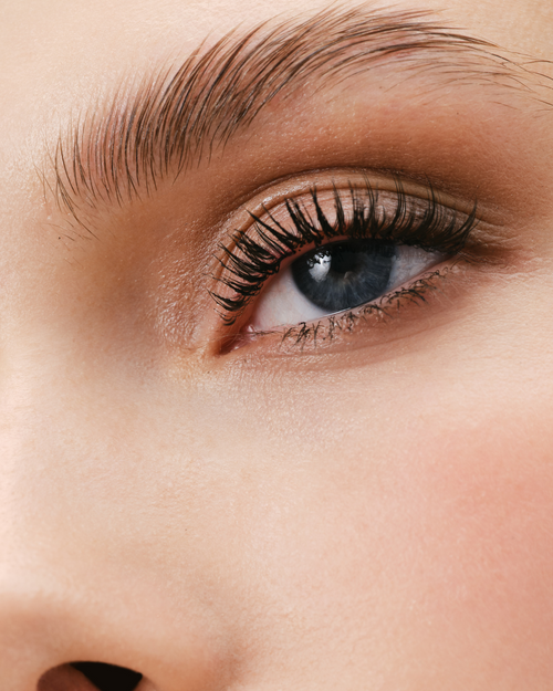 A model's lashes and brows after using the Lash and Eyebrow Lamination Solutions.