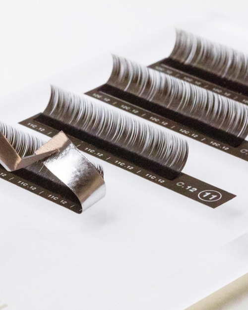 C-Curl Brunette Lashes (Mixed Trays)