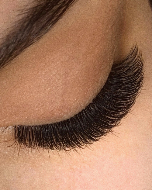 A close up of a model's eye with Plush eyelash extensions applied.