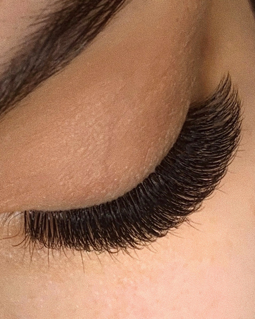 C-Curl Plush Lashes (Mixed Trays)