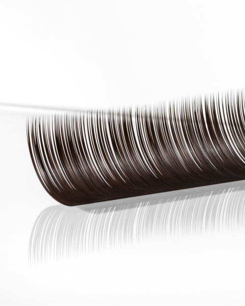 A strip of Brunette lashes on a white background.