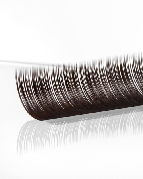 A strip of Brunette Lashes for eyelash extensions.