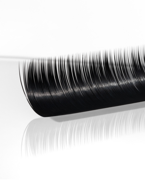 L-Curl Plush Lashes (Mixed Trays)