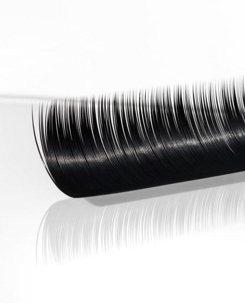 A strip of Plush eyelash extensions against a white background.