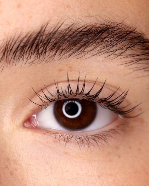 Close up of a model's eye with a Lash Lift.